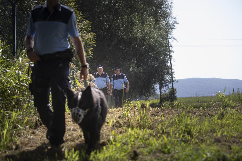 Fotografija: FOTO: Voranc Vogel