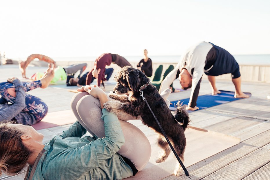 Fotografija: Joga s psi je postala zelo priljubljena. FOTO: Monoliza21/Getty Images