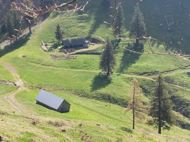 Na planini sta hlev in planinska koča.