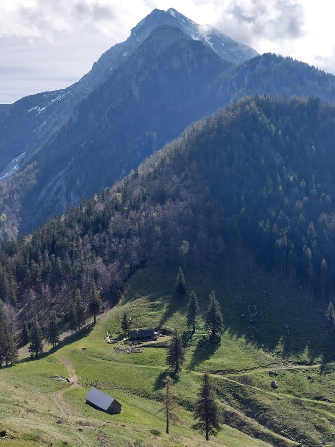 Prek planine pogled na Storžič