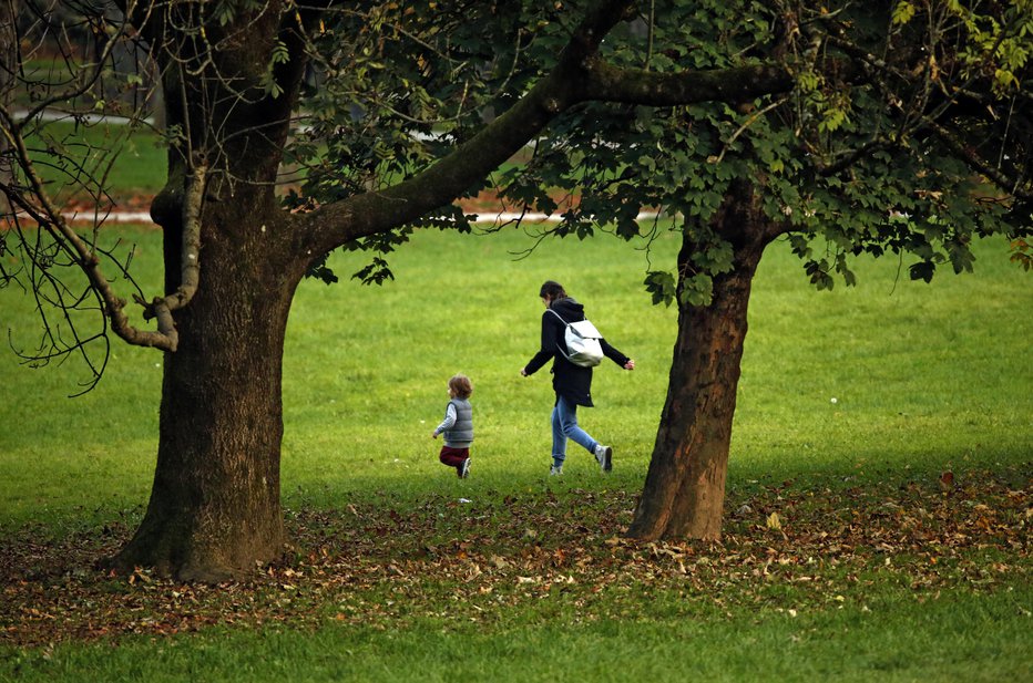 Fotografija: Obeta se tudi velik park. FOTO: Matej Družnik