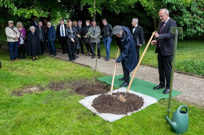 Minattiju v spomin bo rasla jablana.