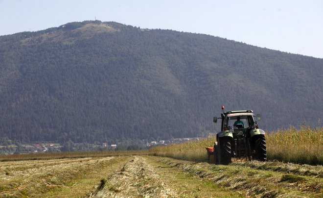 Kmetje so pohiteli s košnjo in poskušali izkoristiti sicer redka okna suhega vremena. FOTO: Mavric Pivk