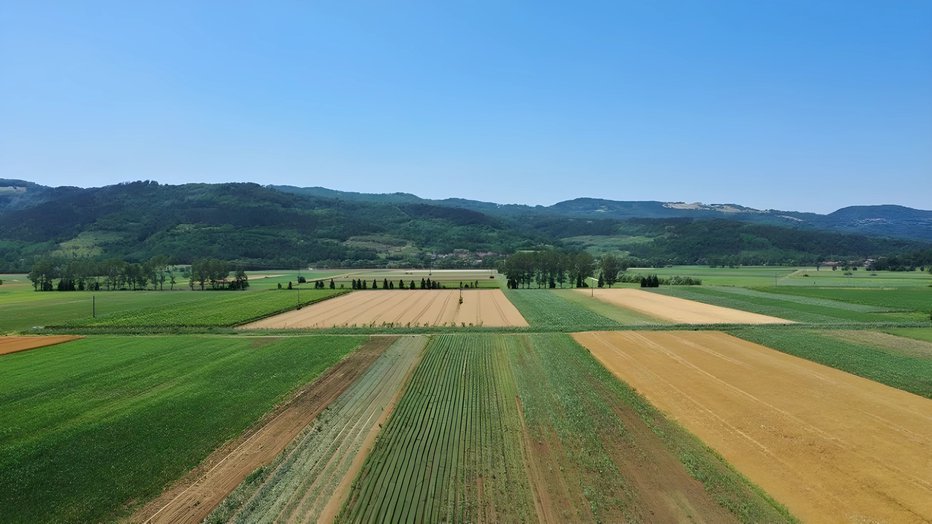 Fotografija: Posledice burje so že vidne na kmetijskih površinah. FOTO: Občina Ajdovščina