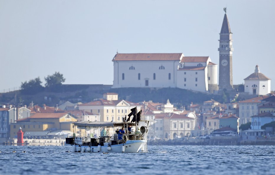 Fotografija: Slovenski ribič v Piranskem zalivu. FOTO: Matej Družnik