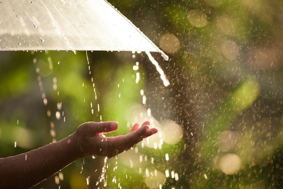 Fotografija: Zaradi domačnosti z vodo imajo rade dež in vlago, obožujejo toplo, a ne soparno vreme. FOTO: Sasiistock/Getty Images