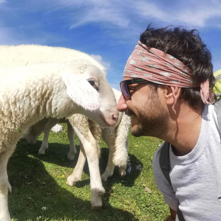 Fotografija: Bližnje srečanje z lepotičko FOTO: osebni arhiv/instagram