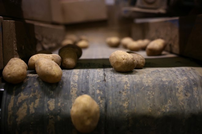 Kalij najdemo v krompirju. FOTO: Stephanie Lecocq/Reuters