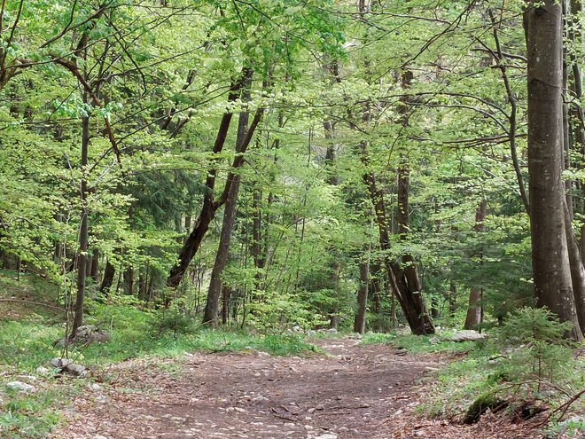 Po samotnih poteh ne hodi veliko ljudi.