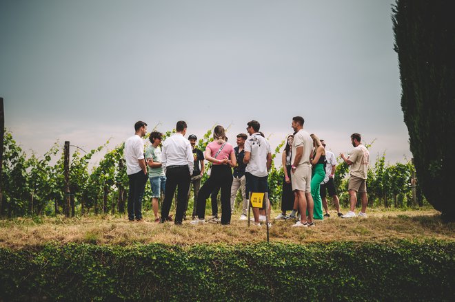 Obiskali boste vinograde ter pobližje spoznali vse, kar je potrebno, da iz soda priteče žlahtna kapljica. FOTO: Arhiv Organizatorja