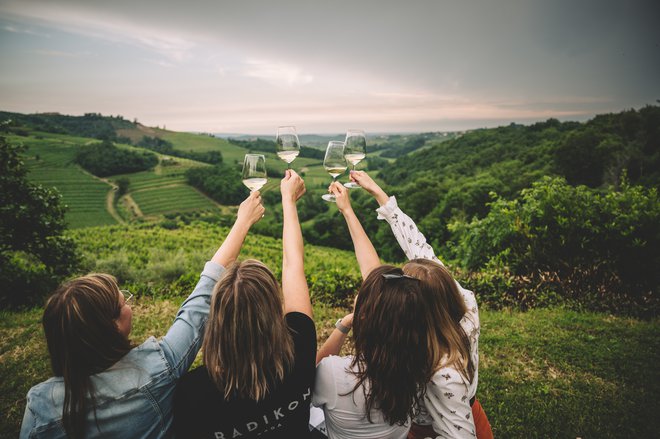 Razgledi po vinogradih so čarobni. FOTO: Arhiv Organizatorja