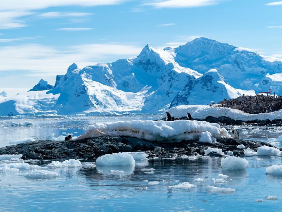 Fotografija: Največji obseg antarktičnega morja, pokritega z ledom, se je zmanjšal za dva milijona kvadratnih kilometrov oz. za območje, štirikrat večje od Francije.

FOTO: Louielea/shutterstock Shutterstock
