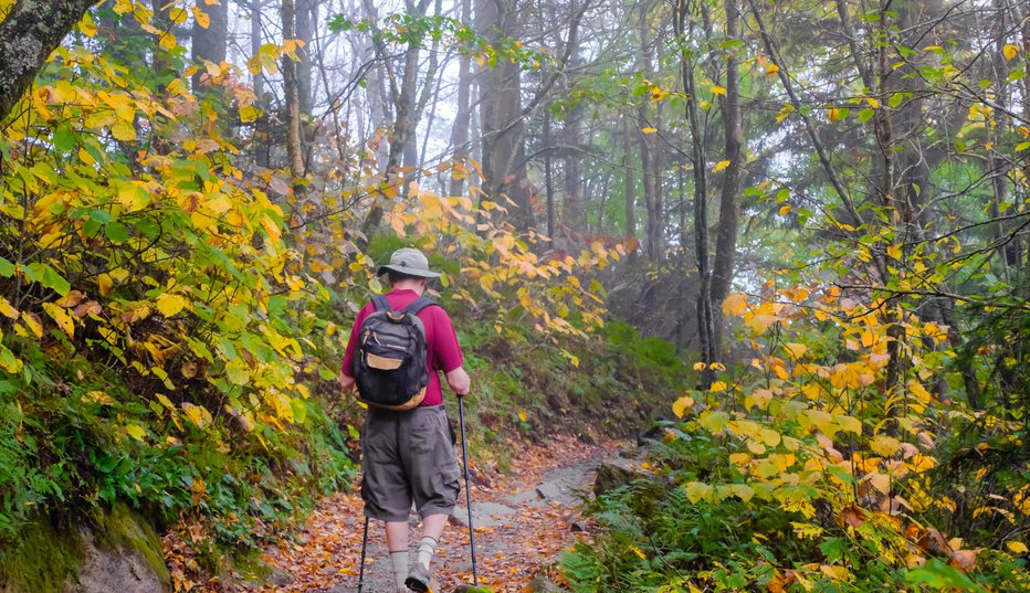 Fotografija: Narodni park Smoky Mountains v zvezni državi Tennessee FOTO: Lana2011 Getty Images