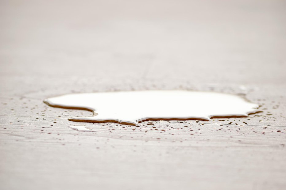 Fotografija: puddle of water over the wood laminate flooring with splashing FOTO: Cunaplus_m.faba Getty Images/istockphoto