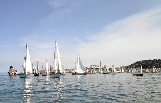 Ko jadra vrnejo Piranu nekdanjo podobo. FOTO: Marko Oblak