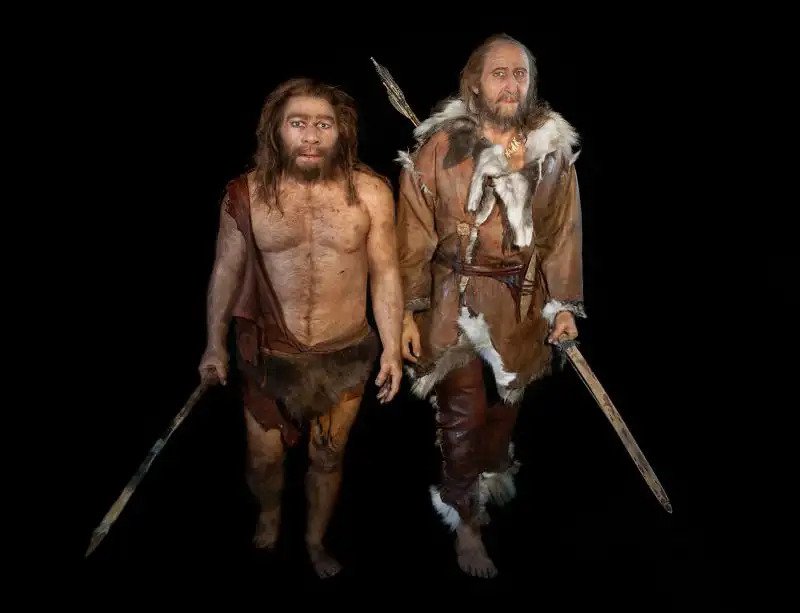 Fotografija: Lutki neandertalca in modernega človeka druga ob drugi FOTO: S. Plailly/E. Daynes/Science Photo Library