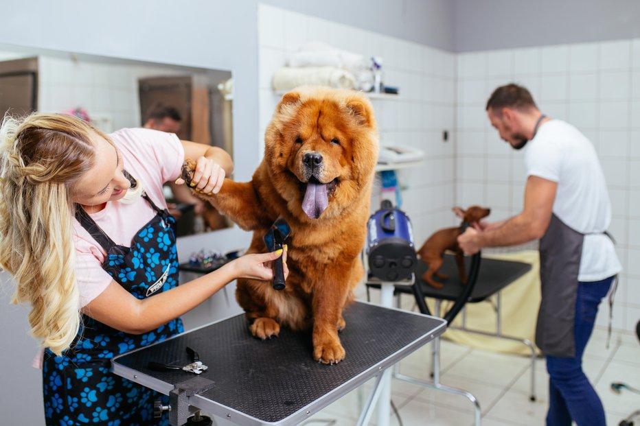 Fotografija: Prvi obisk naj ne bo preveč stresen in strašen. FOTO: Getty Images