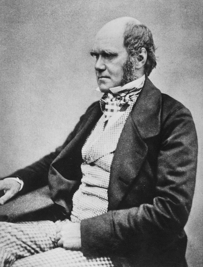 Charles Darwin je menil, da si kakšno potegavščino privoščijo tudi psi. FOTO: Wikipedia