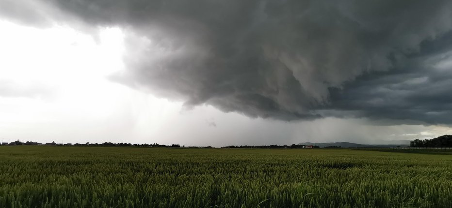 Fotografija: V bližini Krške vasi  FOTO: Bralec Egon