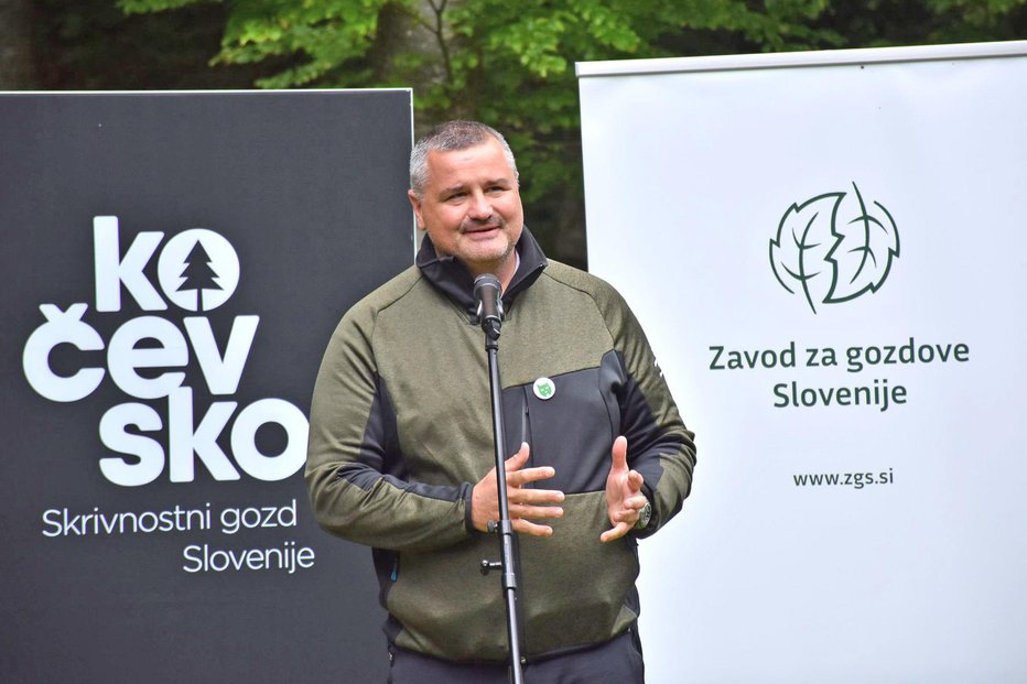 Fotografija: Direktor Zavoda za gozdove Slovenije Gregor Danev FOTO: ZGS