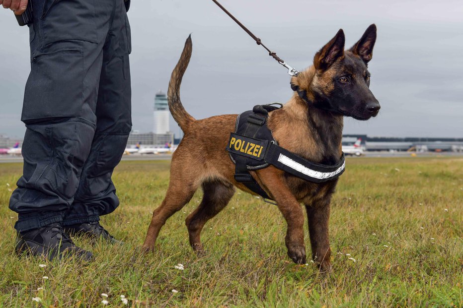 Fotografija: Fotografija je simbolična. FOTO: Dieter Hoeller/Policija