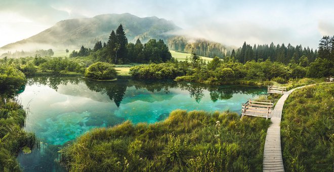 Zelenci, Kranjska Gora FOTO: Shutterstock