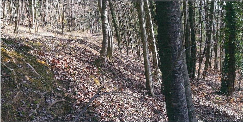 Fotografija: Z zamenjavo zemljišč bi se lahko problem hitro rešil, je prepričana družina Vrhovec. FOTO: Osebni Arhiv