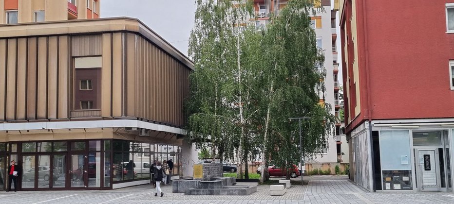 Fotografija: Napadi sivih vran so vsakoletni problem v prekmurski prestolnici. FOTO: Oste Bakal