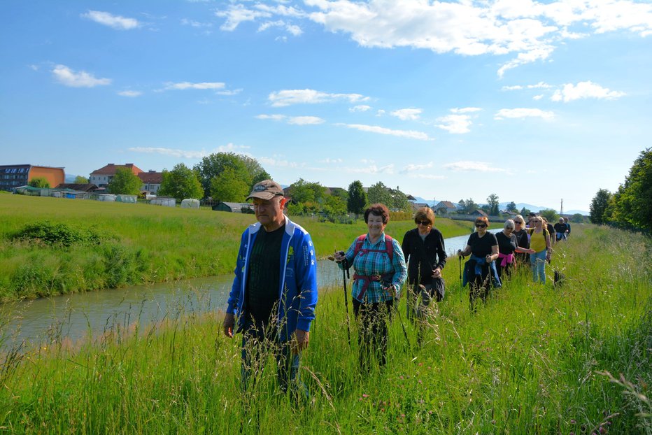 Fotografija: Na poti proti nekdanjemu dvorcu Gorica FOTO: Darko Naraglav