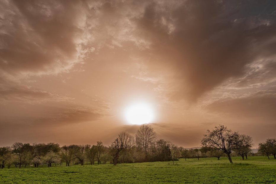 Fotografija: Ponovno bo nekaj puščavskega prahu. FOTO: Frank Wagner Getty Images