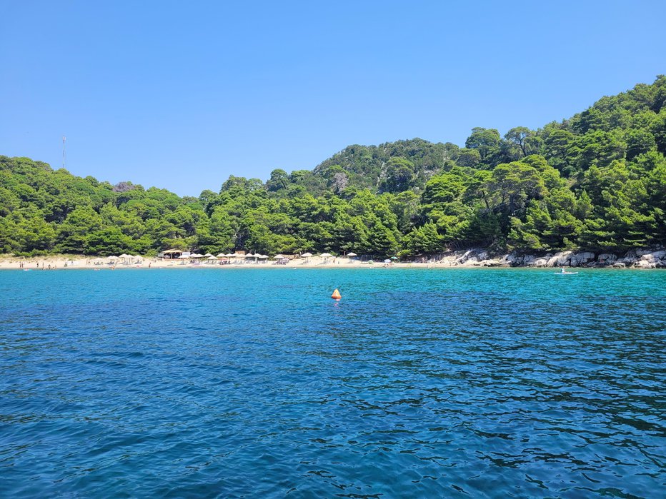 Fotografija: Opazili so ga v bližini otoka Mljet. FOTO: Tina Horvat 