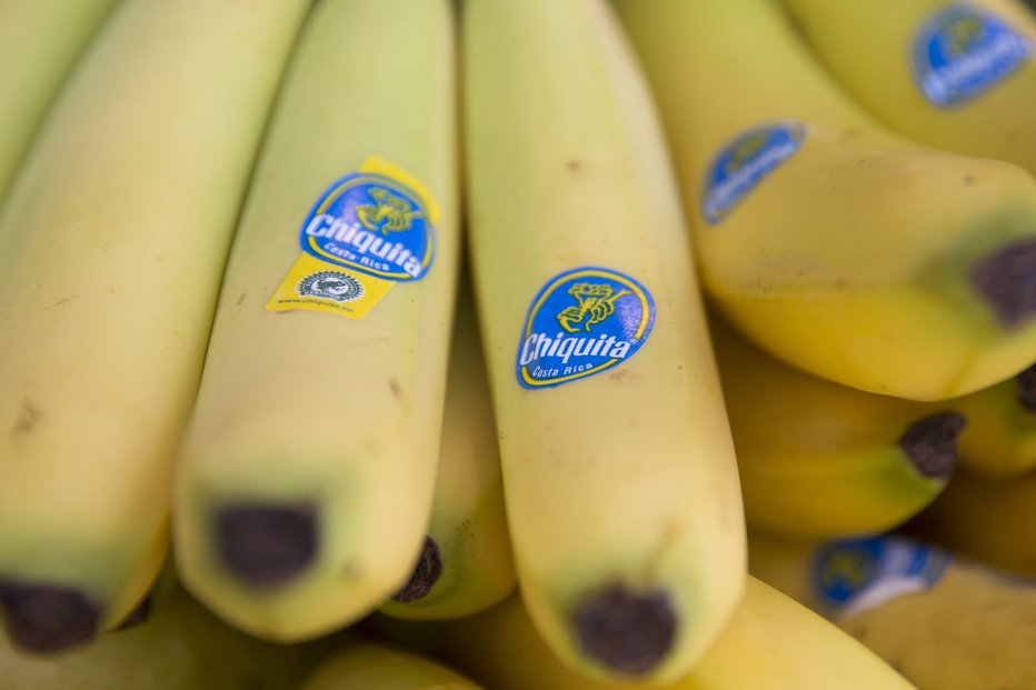 Fotografija: S prodajo banan so plačevali orožje kolumbijski paravojaški skupini. FOTO: Neil Hall/Reuters