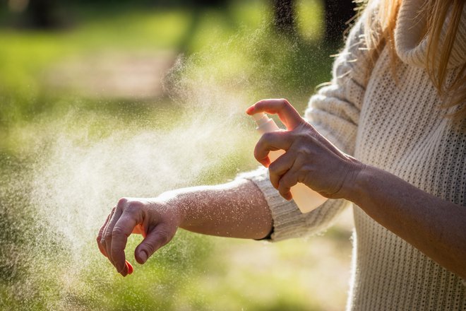 Za odganjanje komarjev številni priporočajo tudi nekatera eterična olja rastlin, kot so evkaliptus, krvomočnica, sivka, cedra, limonska trava, klinčki, poprova meta, rožmarin ... FOTO: Getty Images/istockphoto