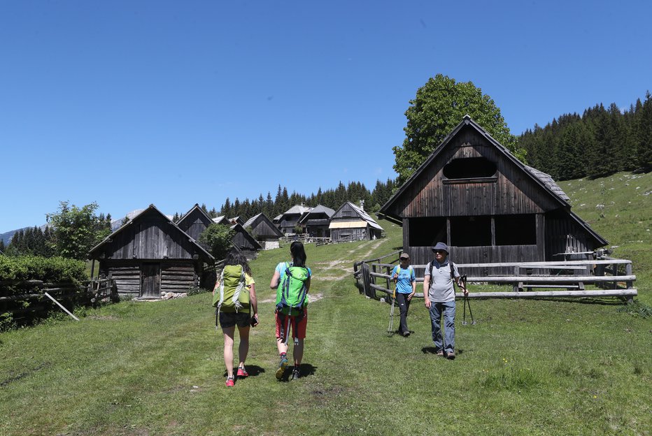 Fotografija: Poleg zdravja lahko izboljšamo, ali ohranjamo tudi dobre medsebojne odnose, tako v družini kot v širšem socialnem okolju, izničimo negativne vplive stre­sa ter ohranjamo, ali poskušamo vzpostaviti svoj prvotni stik z naravo. FOTO: Dejan Javornik