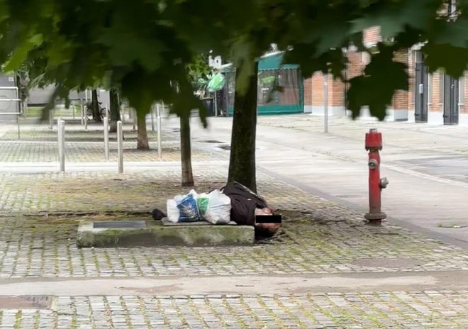 Stanje na Taboru v Ljubljani je alarmantno. FOTO: Bralka Tina