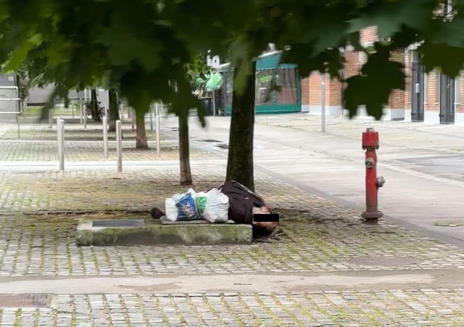 Fotografija: Stanje na Taboru v Ljubljani je alarmantno. FOTO: Bralka Tina