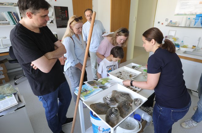 Nekateri organizmi v vodi nam povedo, da je ta čista, drugi pa, da ni, izvemo v biološkem laboratoriju, kjer ocenjujejo stanje voda. FOTO: Dejan Javornik