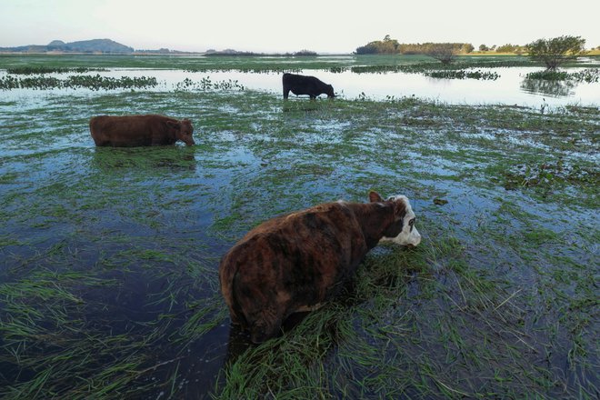 Glede na razširjenost in resnost problemov bi morali imeti članki in oddaje o onesnaževanju okolja še veliko večjo težo. FOTO: Diego Vara/Reuters