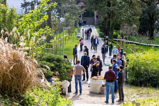 Arhitekt Laščak je vilo obdal z velikim parkom, v katerem je nasadil palme, bambus in eksotične grmovnice.