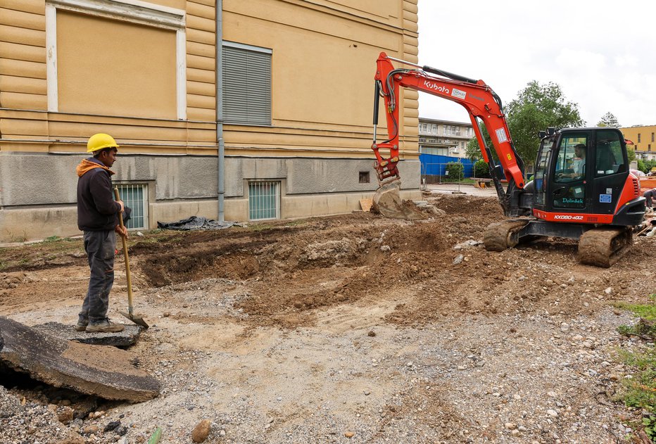 Fotografija: Slovensko gospodarstvo kot celota je iz leta v leto bolj odvisno od tuje delovne sile, kar pa je upravnim enotam malo mar. FOTO: Matej Družnik