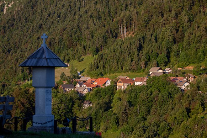 Jamnik FOTO: Mirko Kunšič Delo