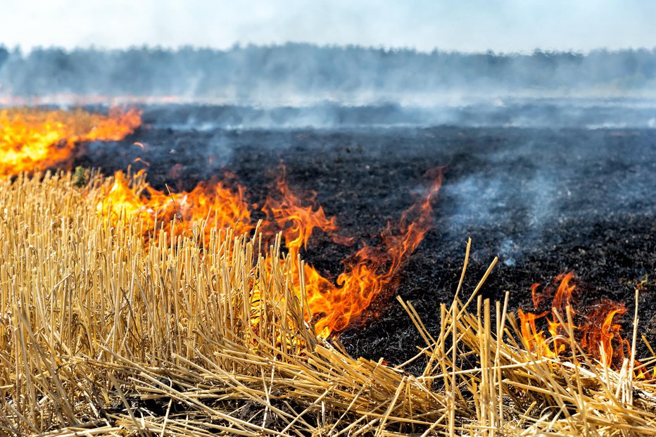 Fotografija: Fotografija je simbolična FOTO: Kyryl Gorlov Getty Images/istockphoto