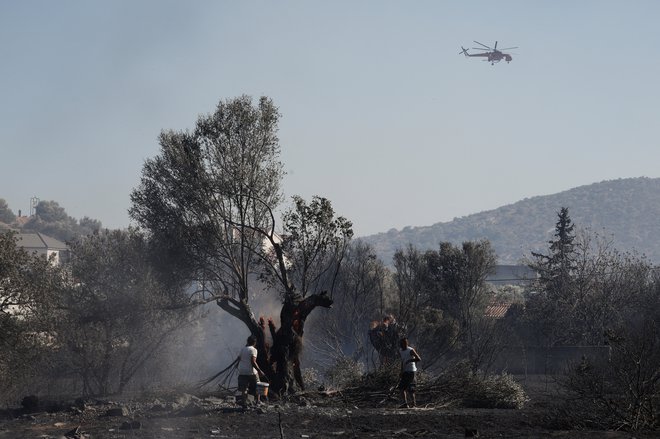 FOTO: Louisa Gouliamaki Reuters