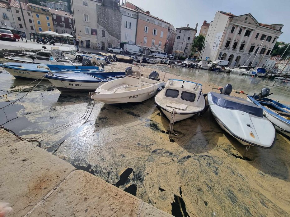 Fotografija: Skažen začetek piranske poletne turistične sezone FOTO: Erna Pudgar