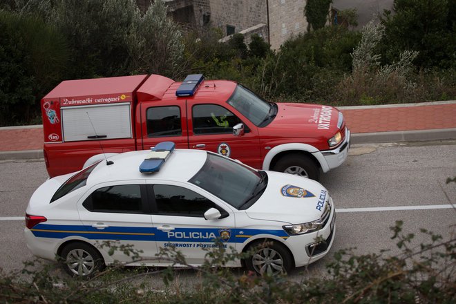 Skušajo preprečiti, da ne uide na magistralko.  FOTO: Bozo Radic/Cropix 