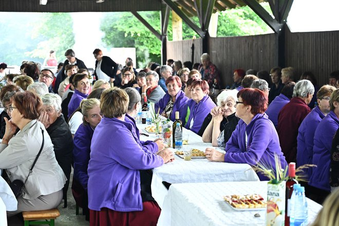 Tavžentrožice se rade podružijo.