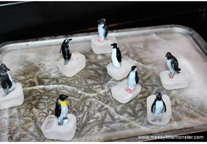 Dirka pingvinov FOTO: OSEBNI ARHIV