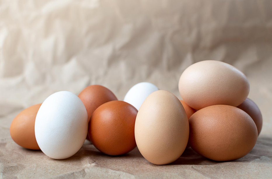 Fotografija: Niso ga zanimala jajca, temveč denar. FOTO: Getty Images