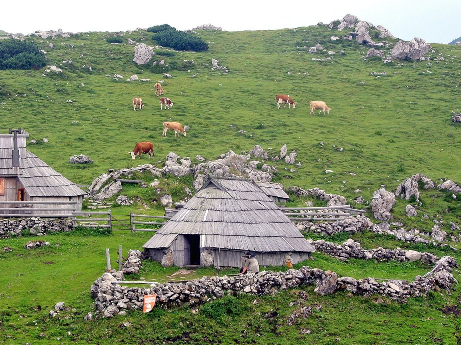 Fotografija: Preskarjeva bajta je muzej. FOTO: PrimoŽ Hieng