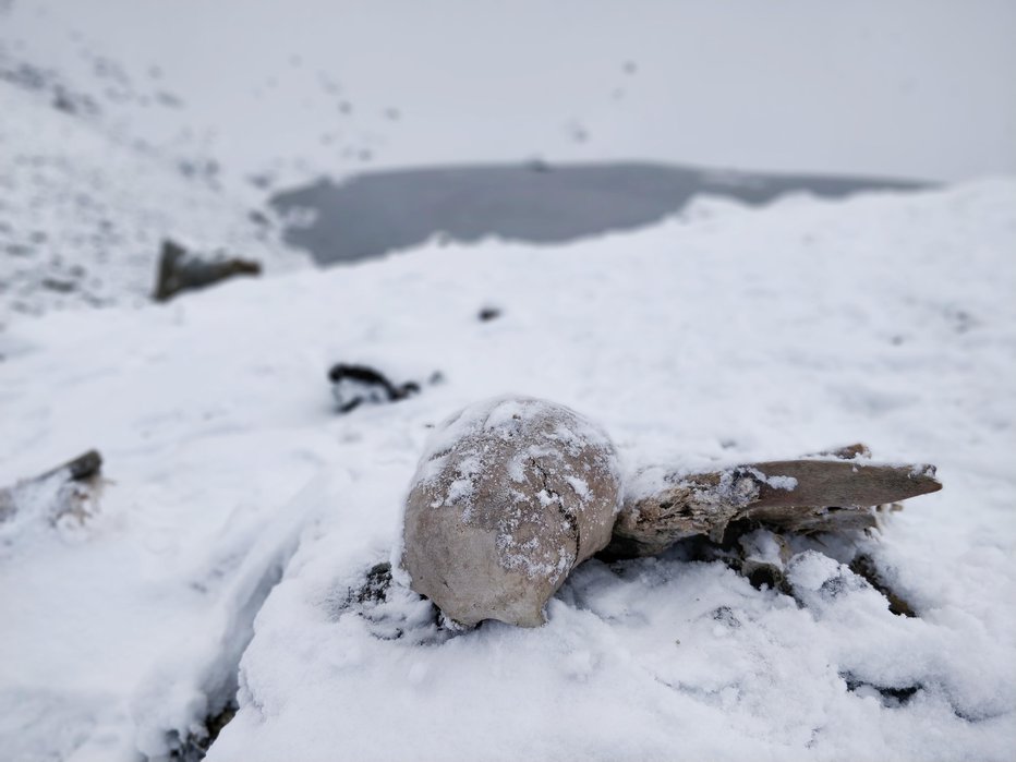 Fotografija: Tudi okolica je polna okostij. FOTO: Anuroop Khandelwal/Getty Images